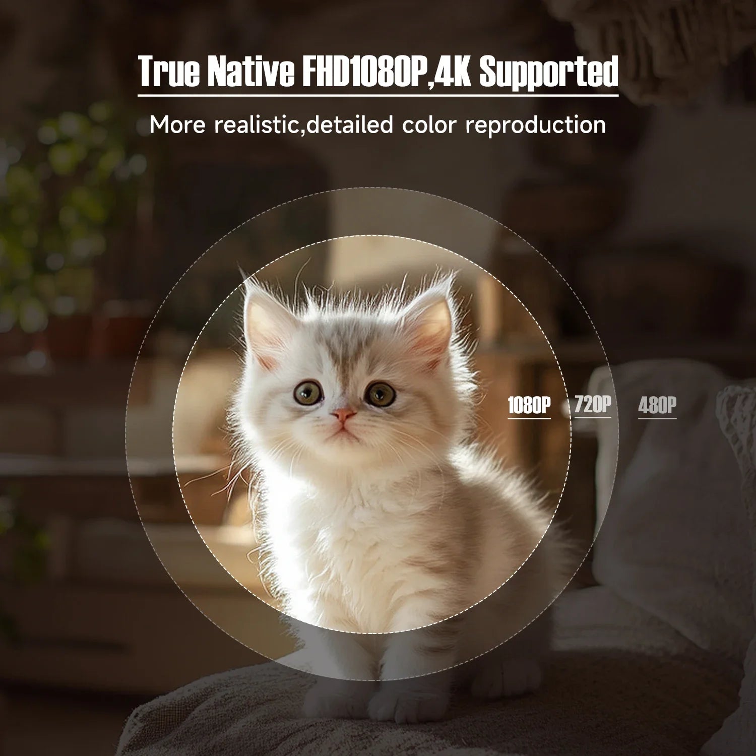 Valu L018 Native 1080P Projector